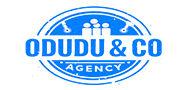 OduduAgency - Trusted Financial & General Consulting Firm